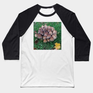 Inky-cap Mushrooms Baseball T-Shirt